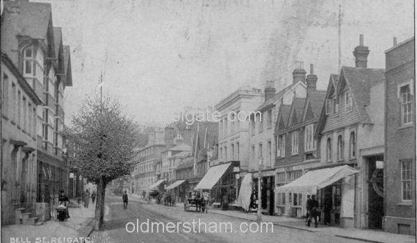 Image number 239&prevurl=year1905