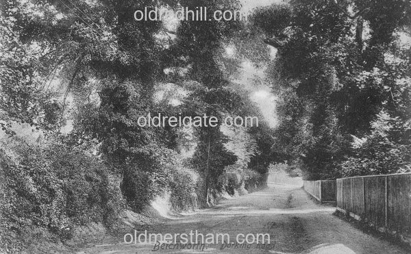 Image number 406&prevurl=year1904