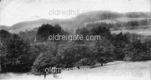 Image number 1883