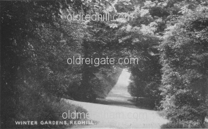 Image number 6116