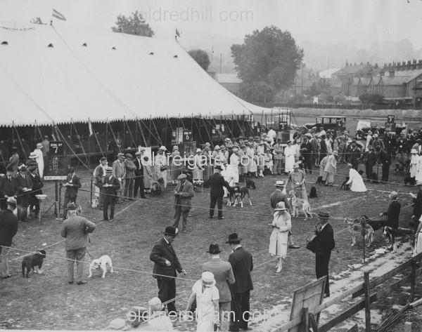 Image number 2887&prevurl=year1926