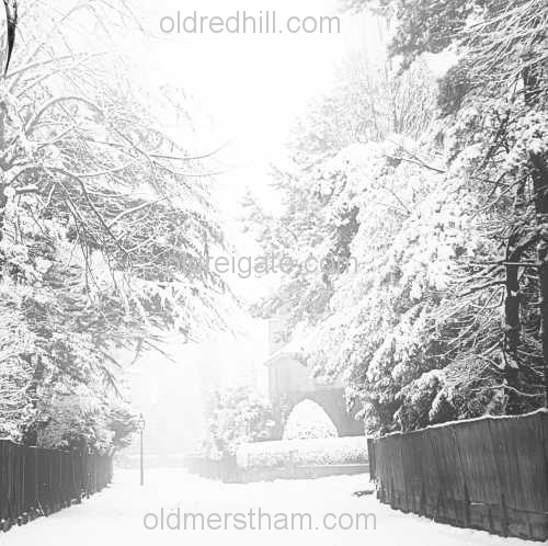 Image number 3364&prevurl=oakroad