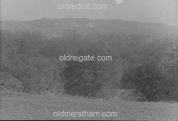 Image number 3509&prevurl=park4