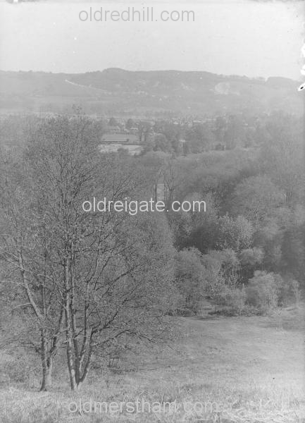 Image number 3510&prevurl=park4