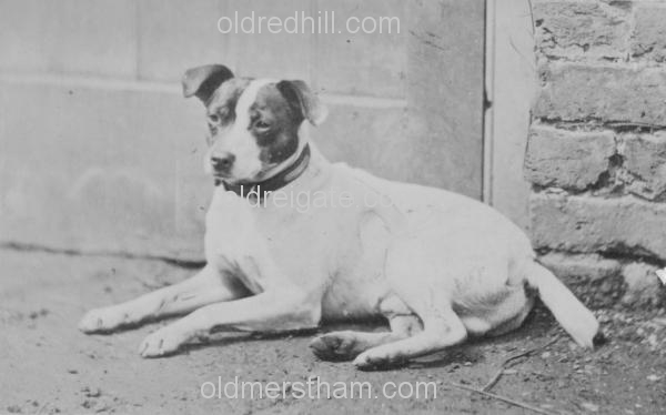 Image number 43&prevurl=publishers12
