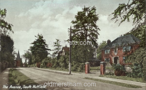 Image number 5492&prevurl=theavenue