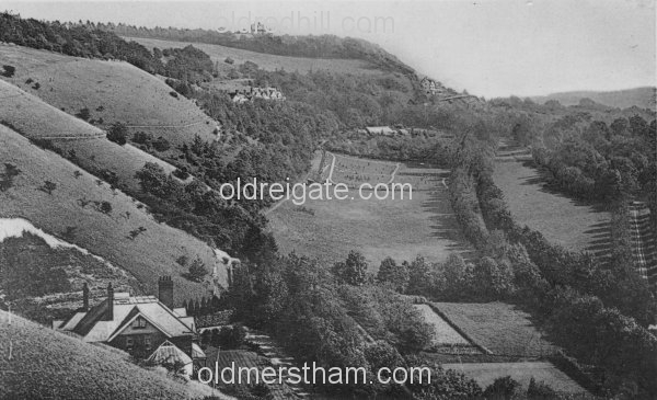 Image number 5822&prevurl=whitehill