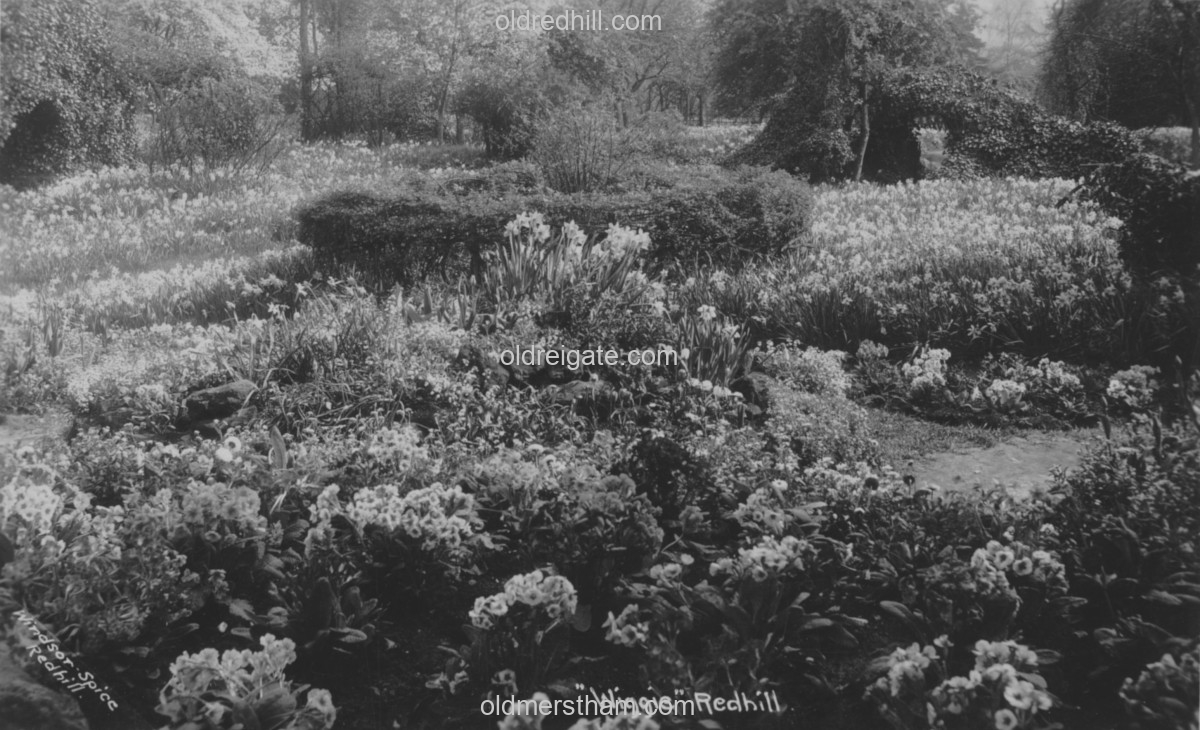 Image number 6841&prevurl=wiggie