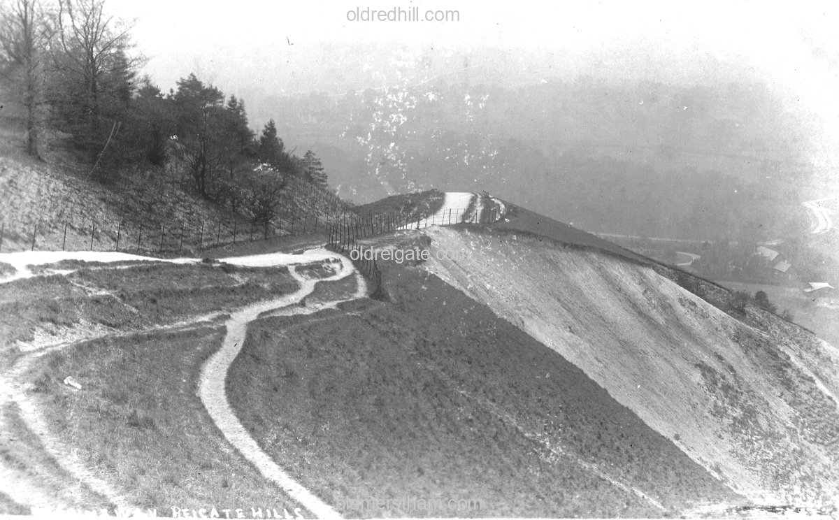 Image number 8195&prevurl=publishers152