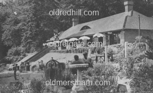 Image number 